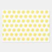 第1回のまわりに日誕生日会ギフトラップ ラッピングペーパーシート (正面2)