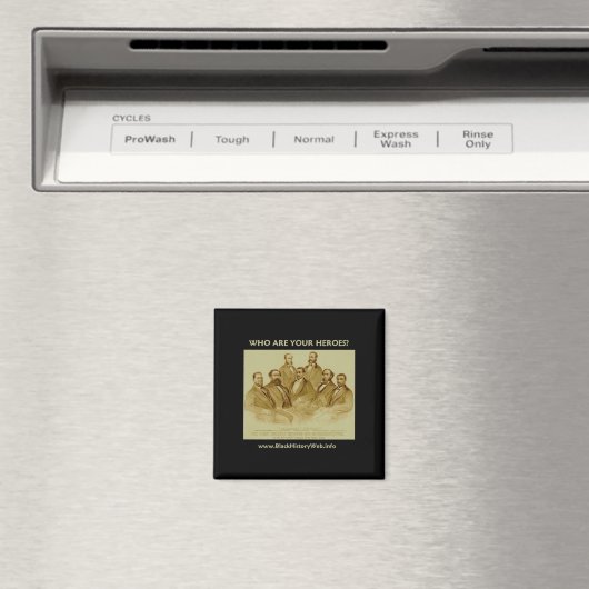 第1回アフリカ系アメリカ人上院議員と代表者 マグネット (インサイチュ (食洗機))