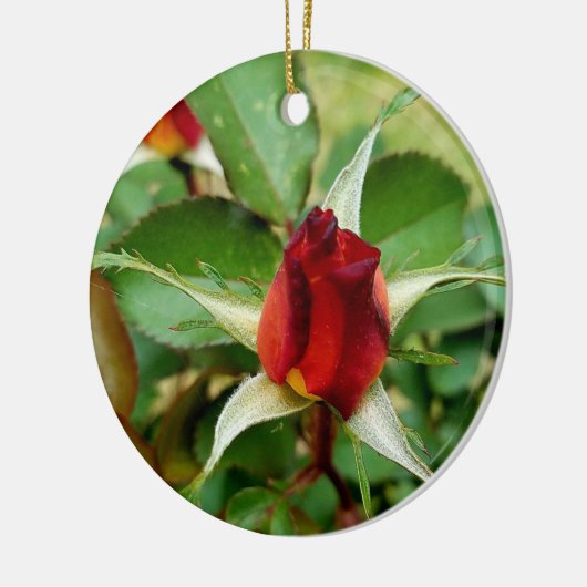 第1回クリスマスレッドローズ開花 セラミックオーナメント (左)