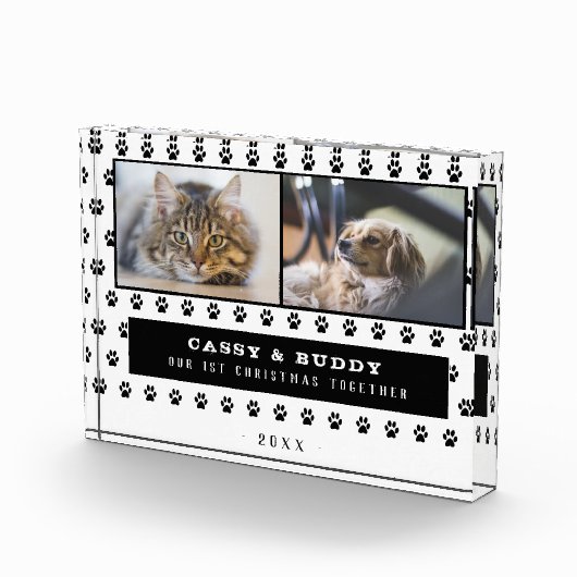 第1回クリスマス一緒に猫の犬の手2 フォトブロック (右)