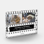 第1回クリスマス一緒に猫の犬の手2 フォトブロック (左)