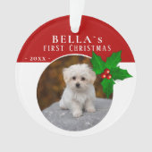 第1子犬`sクリスマスホリーベリードッグペット写真 オーナメント (正面)