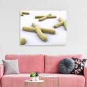 第1染色体の概念像 キャンバスプリント (インサイチュ (リビング))