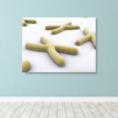 第1染色体の概念像 キャンバスプリント (インサイチュ (ウッドフロア))