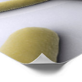 第1染色体の概念像 ポスター (角)