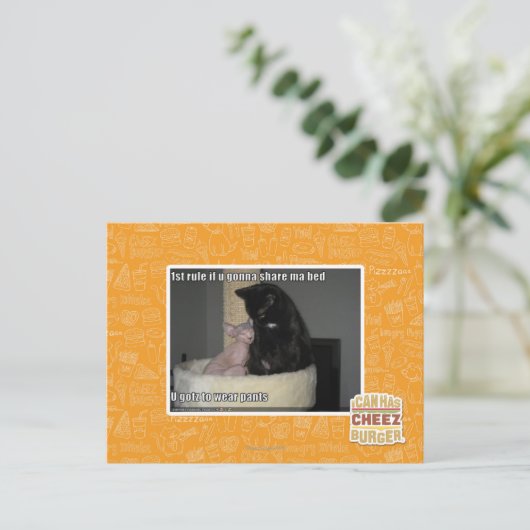 第1規則maのベッドを共有することを行くuなら ポストカード (スタンド正面)