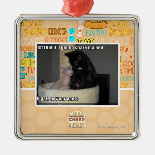 第1規則maのベッドを共有することを行くuなら メタルオーナメント (正面)