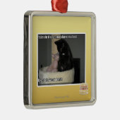 第1規則maのベッドを共有することを行くuなら メタルオーナメント (右)