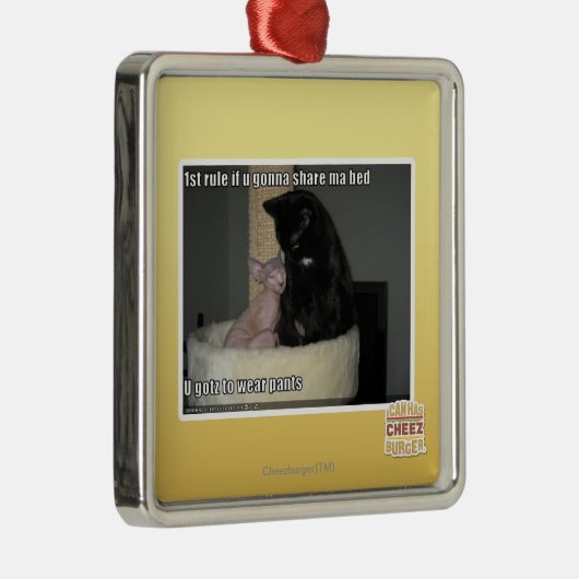 第1規則maのベッドを共有することを行くuなら メタルオーナメント (右)