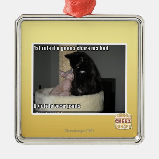 第1規則maのベッドを共有することを行くuなら メタルオーナメント (正面)