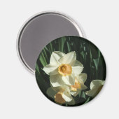 第1類054水仙 マグネット (正面/裏面)