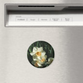 第1類054水仙 マグネット (インサイチュ (食洗機))