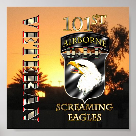 第101機空部OIF退役軍人 ポスター (正面)