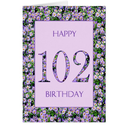 第102誕生日紫デイジー (正面)