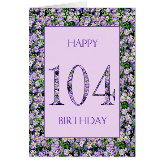 第104誕生日紫デイジー (正面)