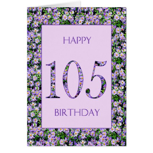 第105誕生日紫デイジー (正面)