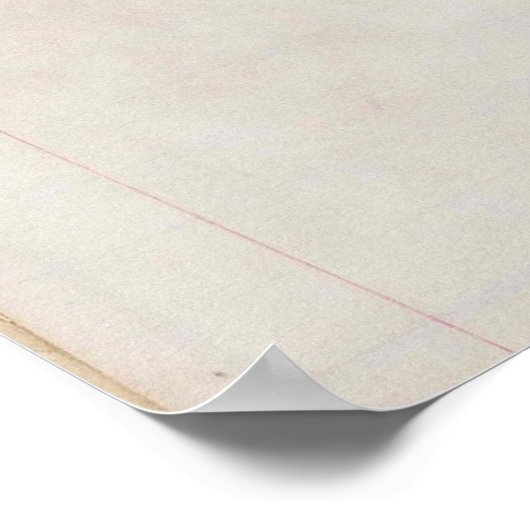 第13回州憲法の統一された改正 ポスター (角)