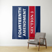 第14条改正第3条憲法 タペストリー (インサイチュ)