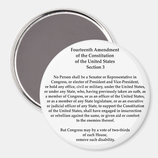 第14条改正第3節 マグネット (正面/裏面)