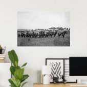 第15期アメリカ騎兵隊バンド、1900年代初期 ポスター (ホームオフィス)