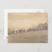 第15期PA騎兵1865 ポストカード (正面/裏面)