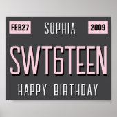 第16誕生日ライセンスプレートポスター、新しいドライバ ポスター (正面)