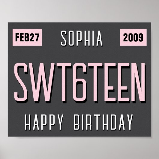 第16誕生日ライセンスプレートポスター、新しいドライバ ポスター (正面)