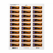 第173ABN空挺旅団の空の兵士パッチ ラベル (フルシート)