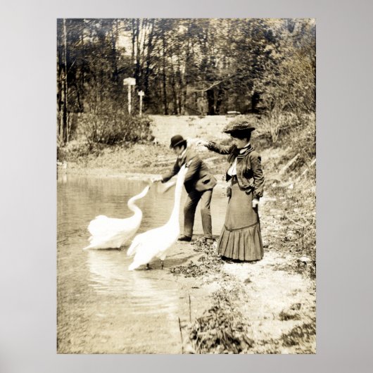 第19回パリのスワンズ ポスター (正面)