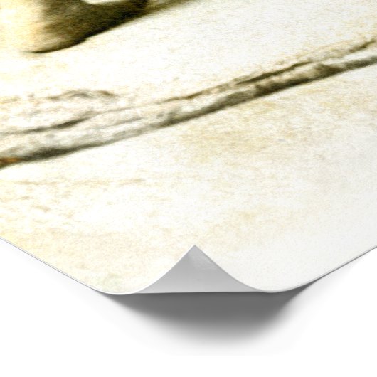 第19回力士日本のたち ポスター (角)