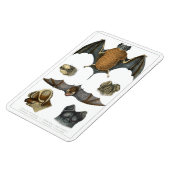 第19回C.こうもりプリント マグネット (左側)