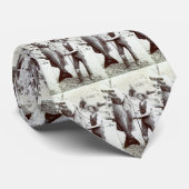 第19 C.漁師およびゴリアテのハタ ネクタイ (ロール)