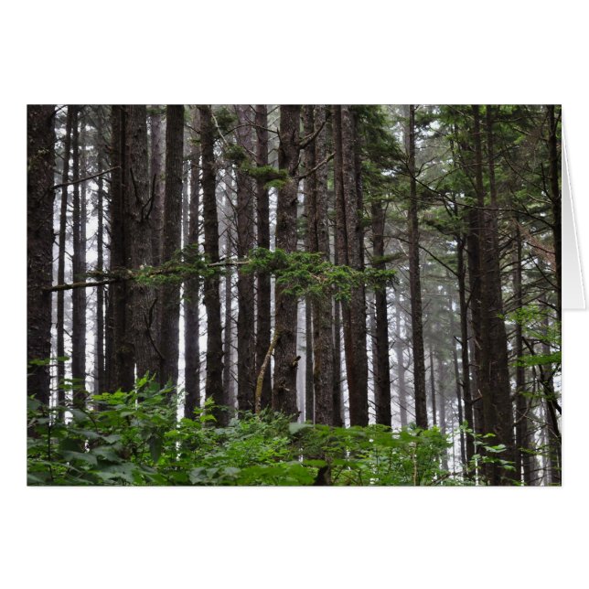 第2ビーチLa Push, WA (正面横)