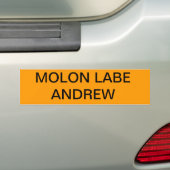 第2修正NY MOLON LABE バンパーステッカー (車上)