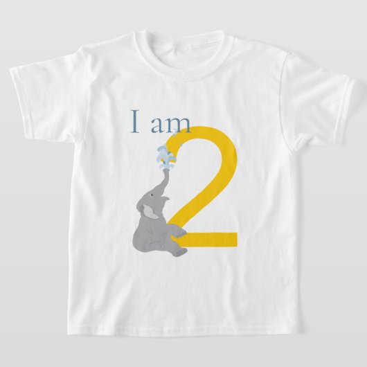 第2期グレイモダンウミニマルゾウTシャツ Tシャツ (レイダウン)