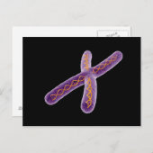 第2染色体の概念像 ポストカード (正面/裏面)