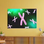 第2染色体の顕微鏡的見解 キャンバスプリント (インサイチュ (リビング))