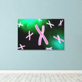 第2染色体の顕微鏡的見解 キャンバスプリント (インサイチュ (ウッドフロア))