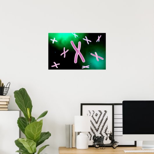 第2染色体の顕微鏡的見解 ポスター (ホームオフィス)