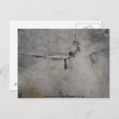 第2次世界大戦ドイツのシュトゥカ – ファイターボマー ポストカード (正面/裏面)