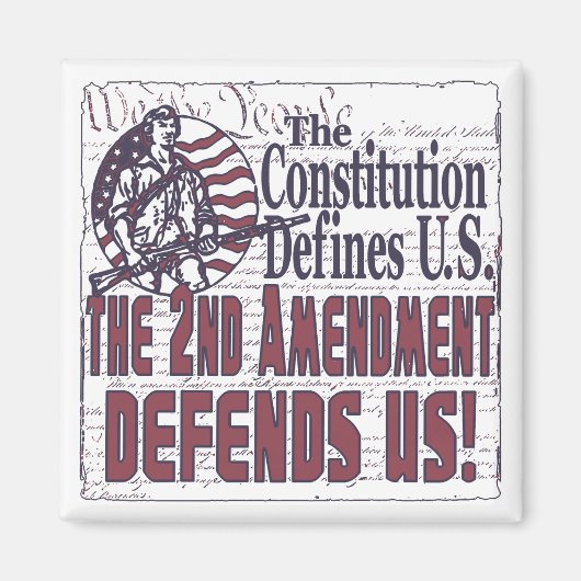 第2次補正は米国を守る マグネット (正面)