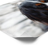 第2章 フォトプリント            (角)