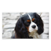 第2章 フォトプリント            (正面)