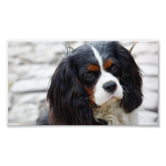 第2章 フォトプリント            (正面)