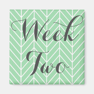 第2週マグネット マグネット