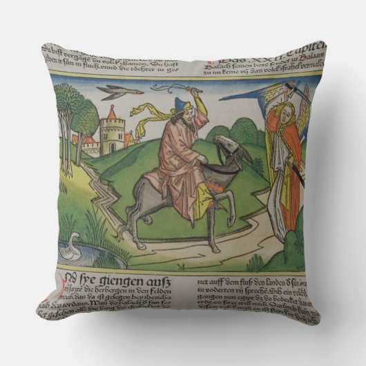 第22 「Nからの20-35 Balaamの話すろば、 クッション (正面)