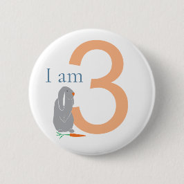 第3期グレイモダンバミニマルニー 缶バッジ