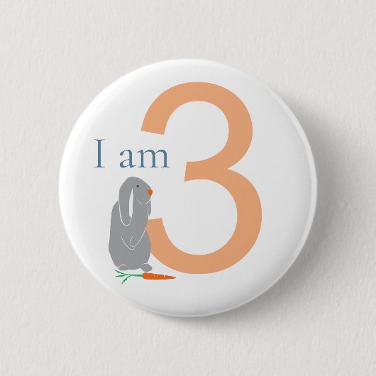 第3期グレイモダンバミニマルニー 缶バッジ (正面)