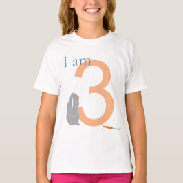 第3期グレイモダンバミニマルニーTシャツ Tシャツ