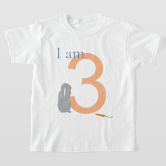 第3期グレイモダンバミニマルニーTシャツ Tシャツ